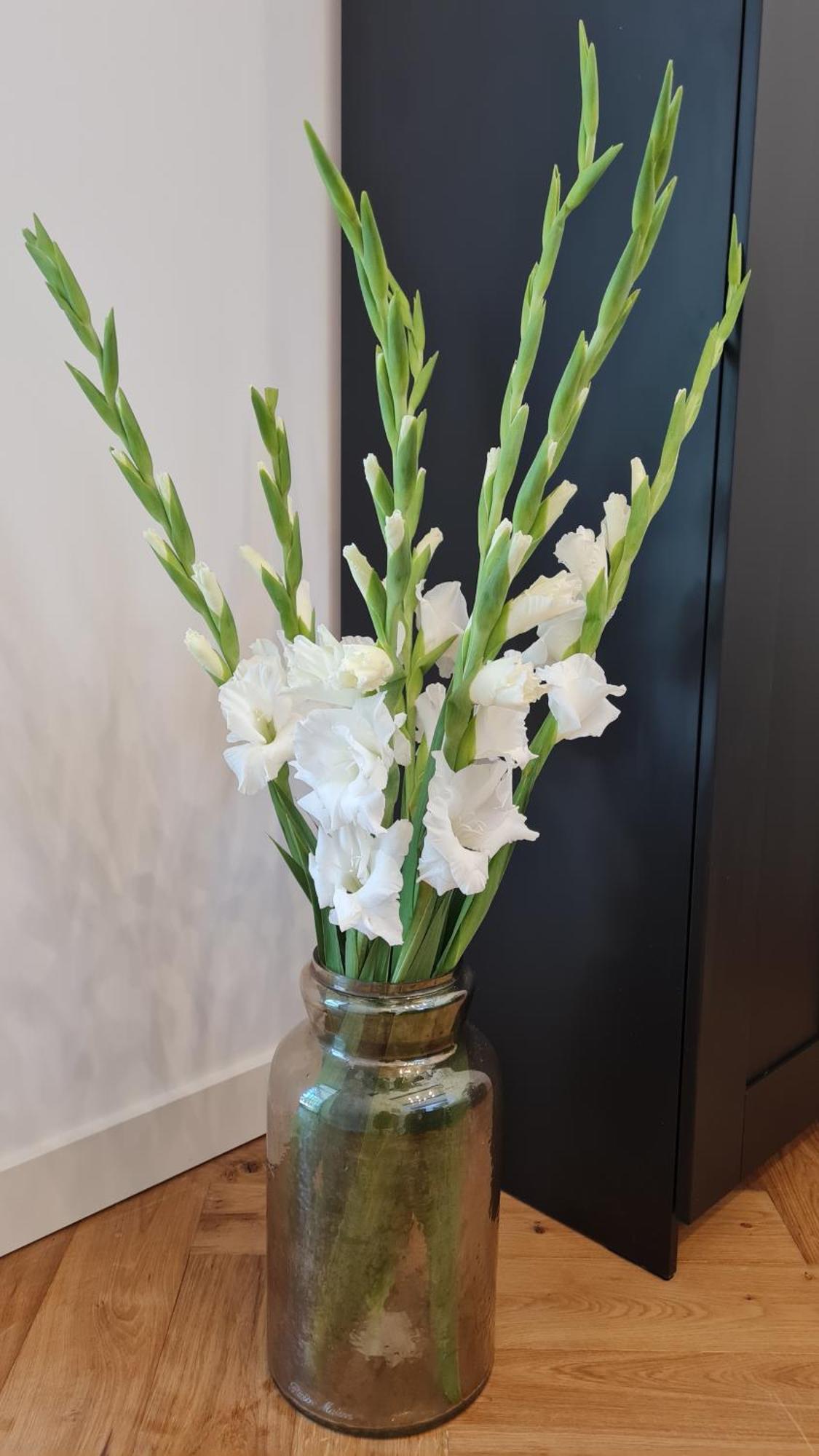Apartment Delight *